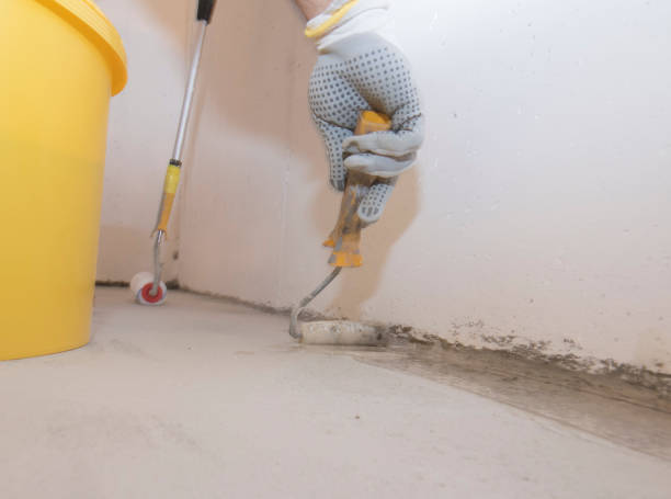 Best Pest Prevention Services  in Holland, MI